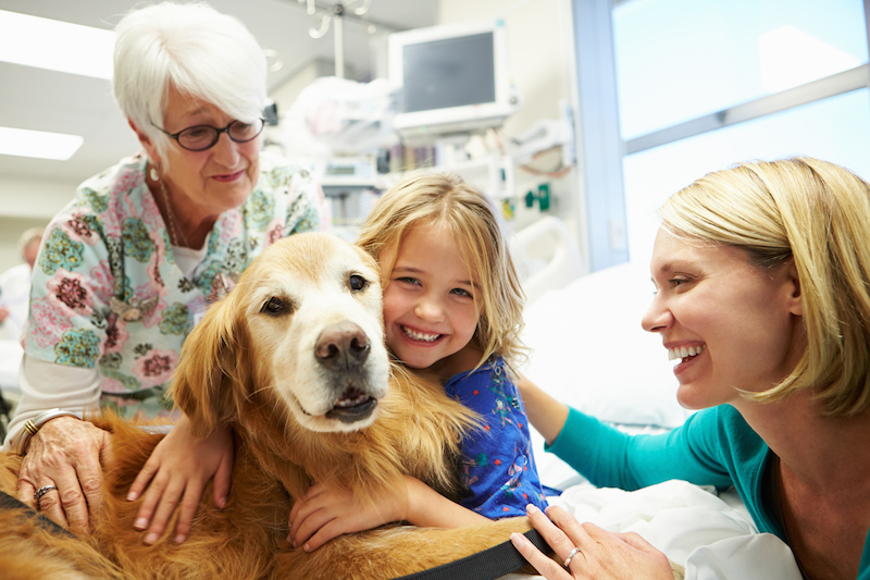 Understanding Canine Therapy and How it Helps Children with Special Needs
